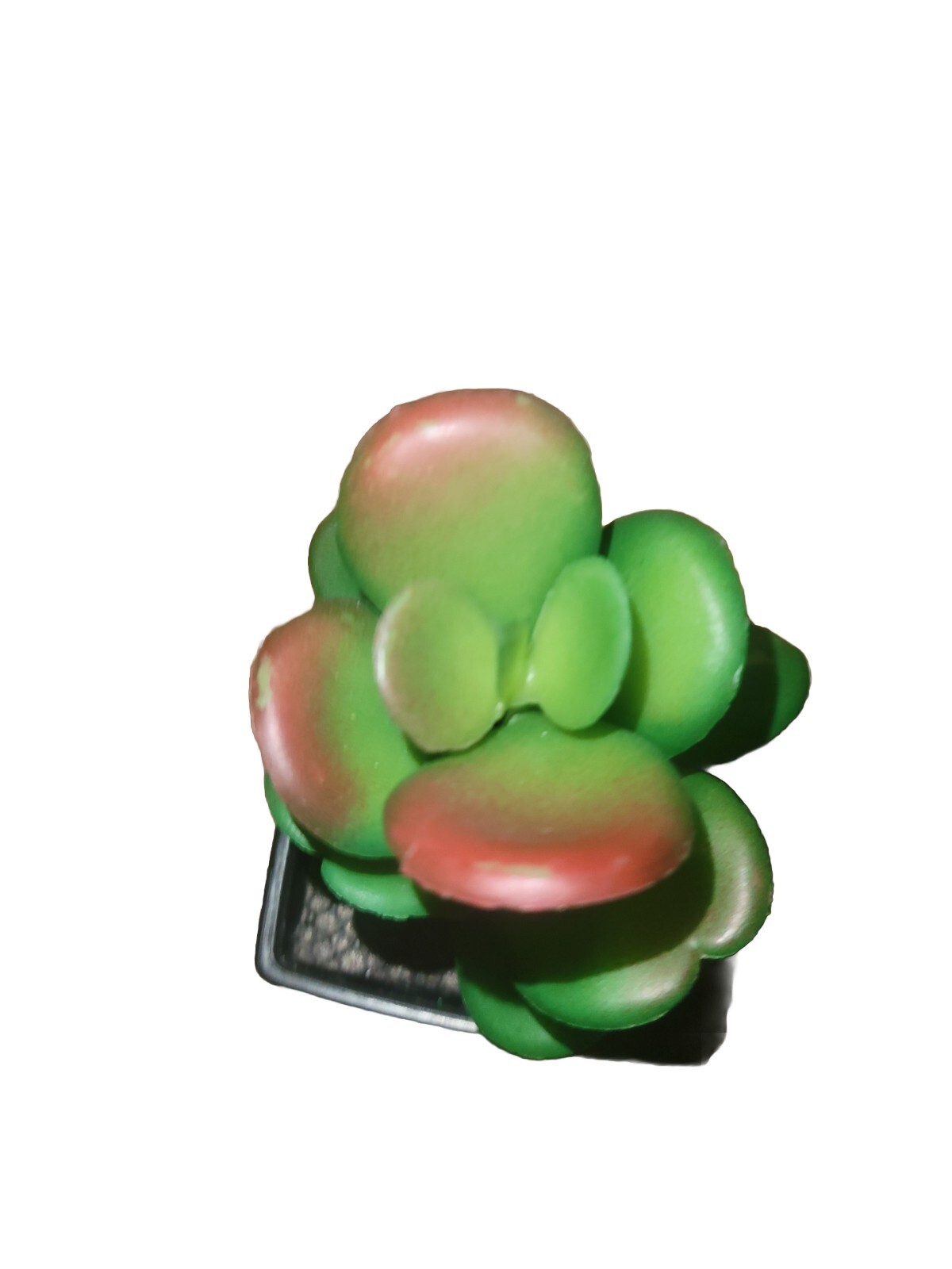 Jade And Tilliandsia Small Fake Plants For Window