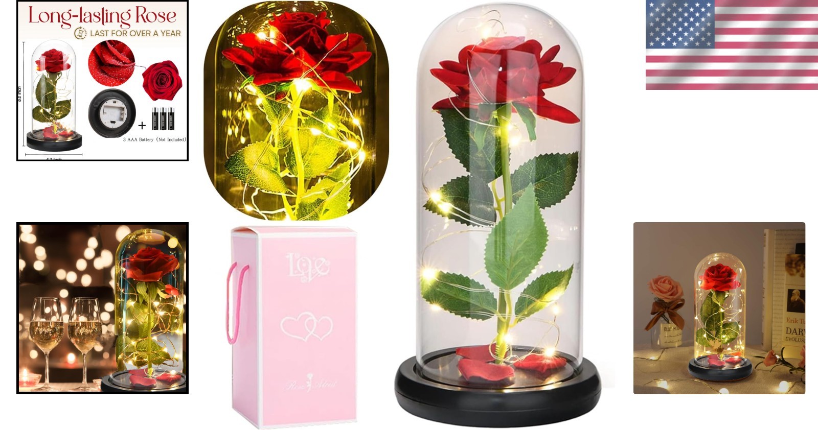 Beauty and The Beast Rose in Glass Dome, Preserved Rose Enchanted Red Silk Rose