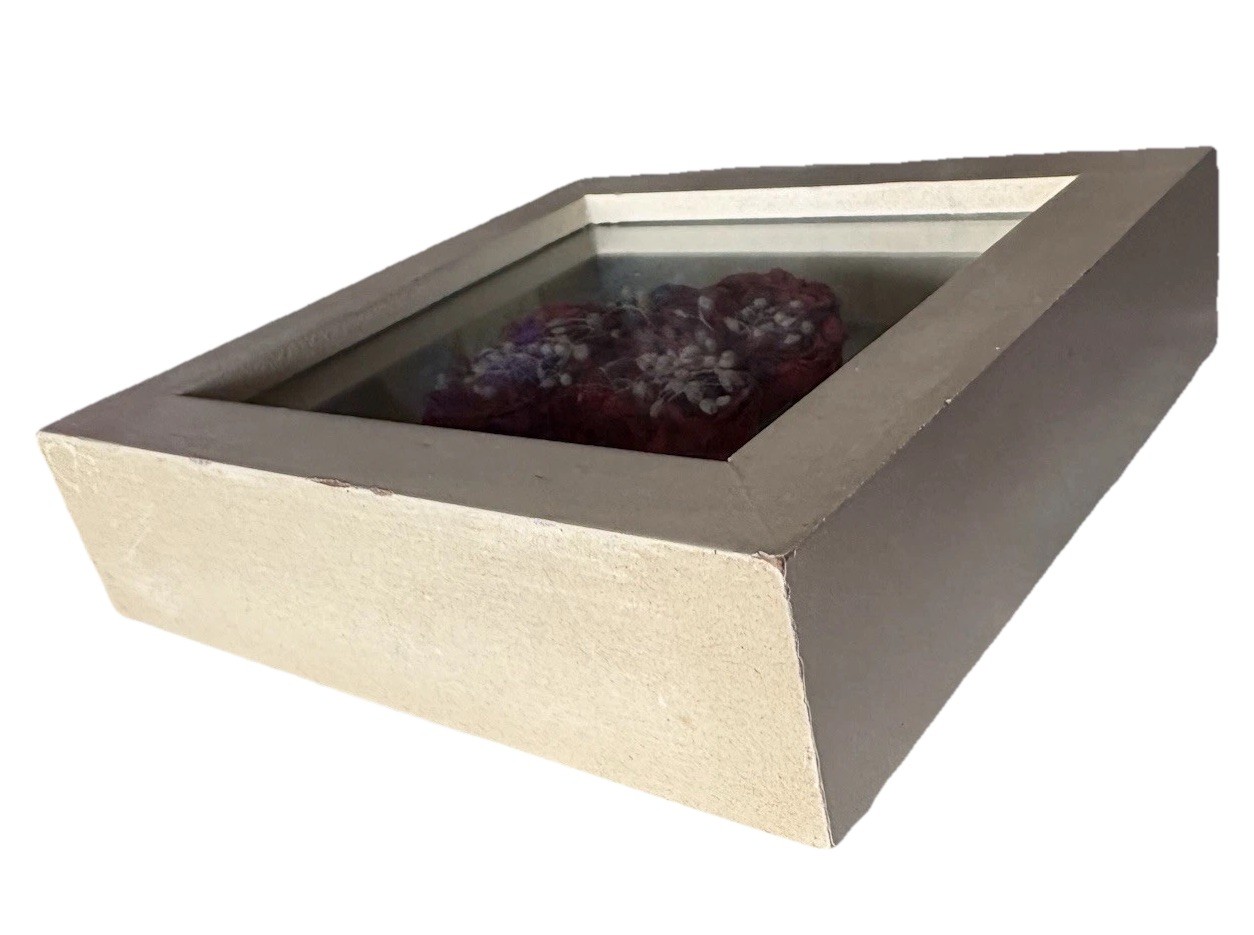 4.75” Preserved Red Roses w/ Newspaper Backing – Flower White Framed Shadow Box