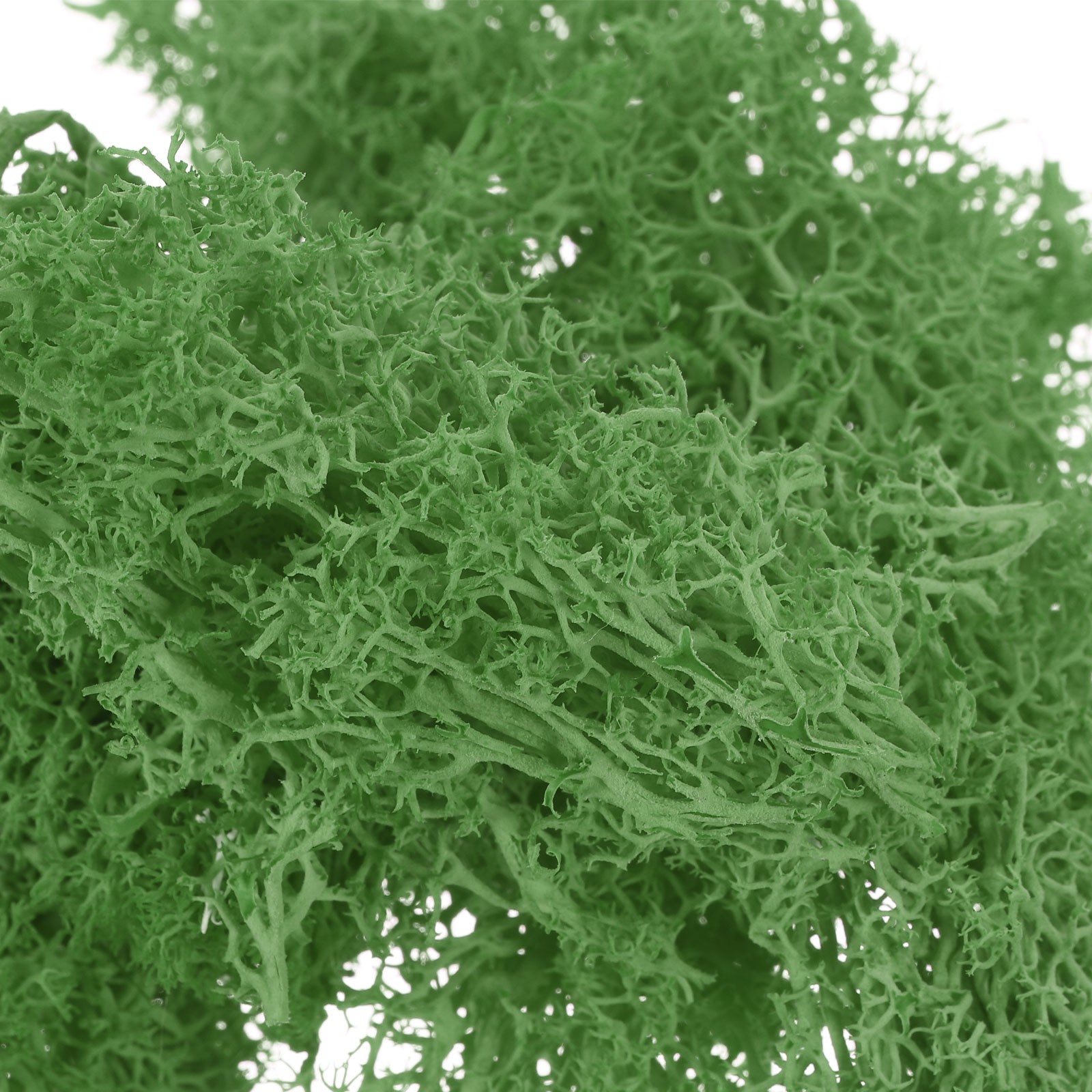 7 OZ Fake Moss, Preserved Decorative Moss with Box for Potted Plants, Green