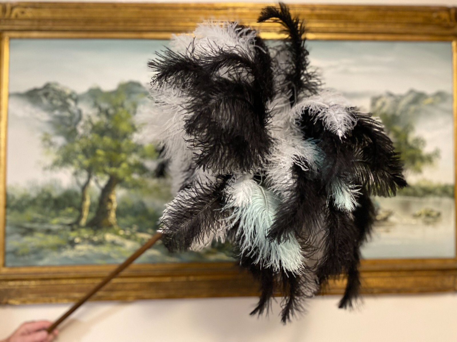 First grade ostrich feather display 95grm white – black ostrich mint feathers