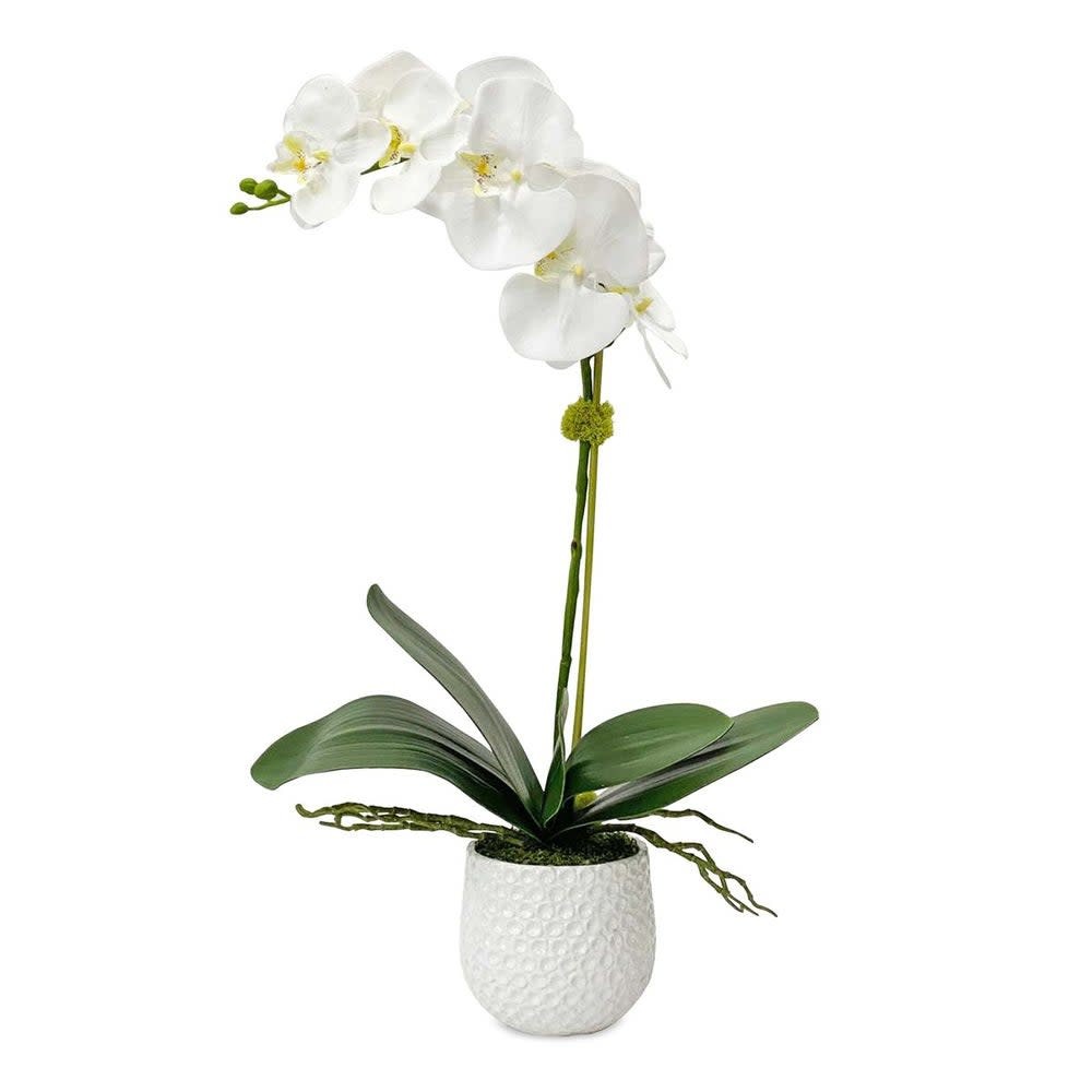 Uttermost 60178 Cami Orchid 24″ Tall Ceramic Faux Flora Planter – White