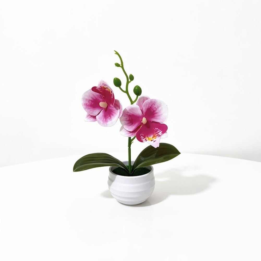 Faux 2-Head Orchid in Striped Pot 6.9 in Tall Realistic Plastic Flower