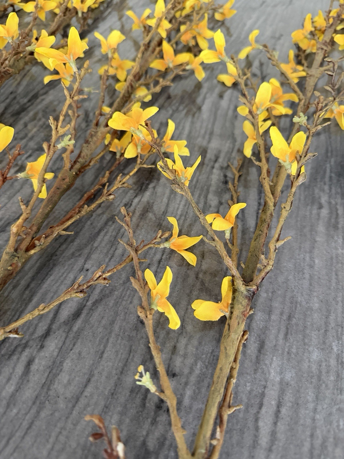 Lot of 6 Crate & Barrel Yellow Faux Forsythia Flower Stems 49”