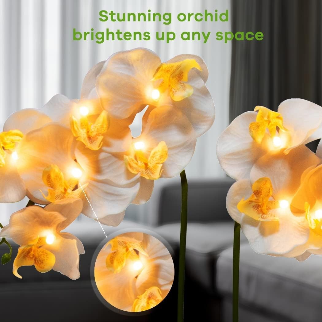 Pre Lit Artificial Orchid – Light Up Flower