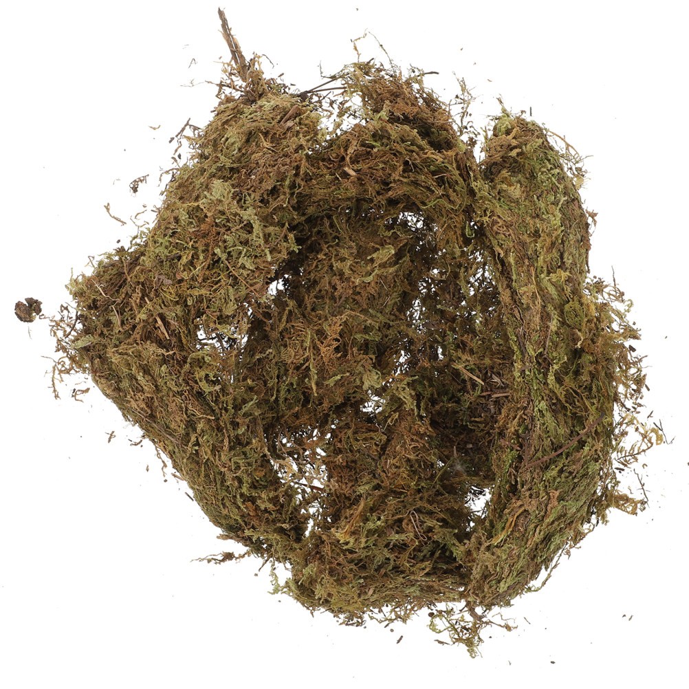 2 Packs Decorative Dried Moss for DIY Durable Green Moss for Gardening Bonsai