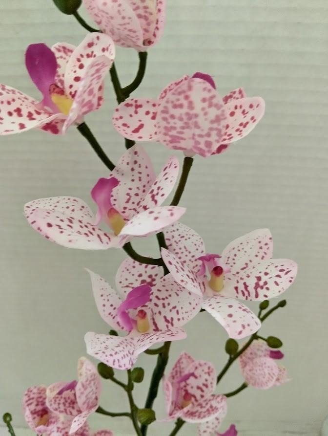 Artificial Phalaenopsis Orchid Plant, Silk Flowers DK PINK