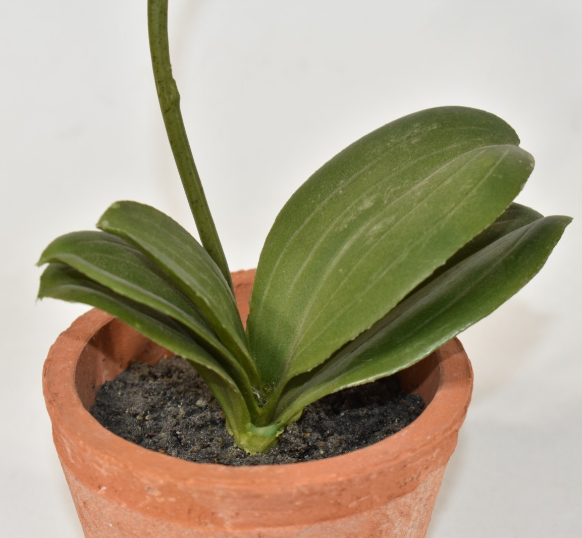 Pottery Barn Faux Flowers Potted Orchid Pot Small 9″ SAMPLE Marking on Bottom