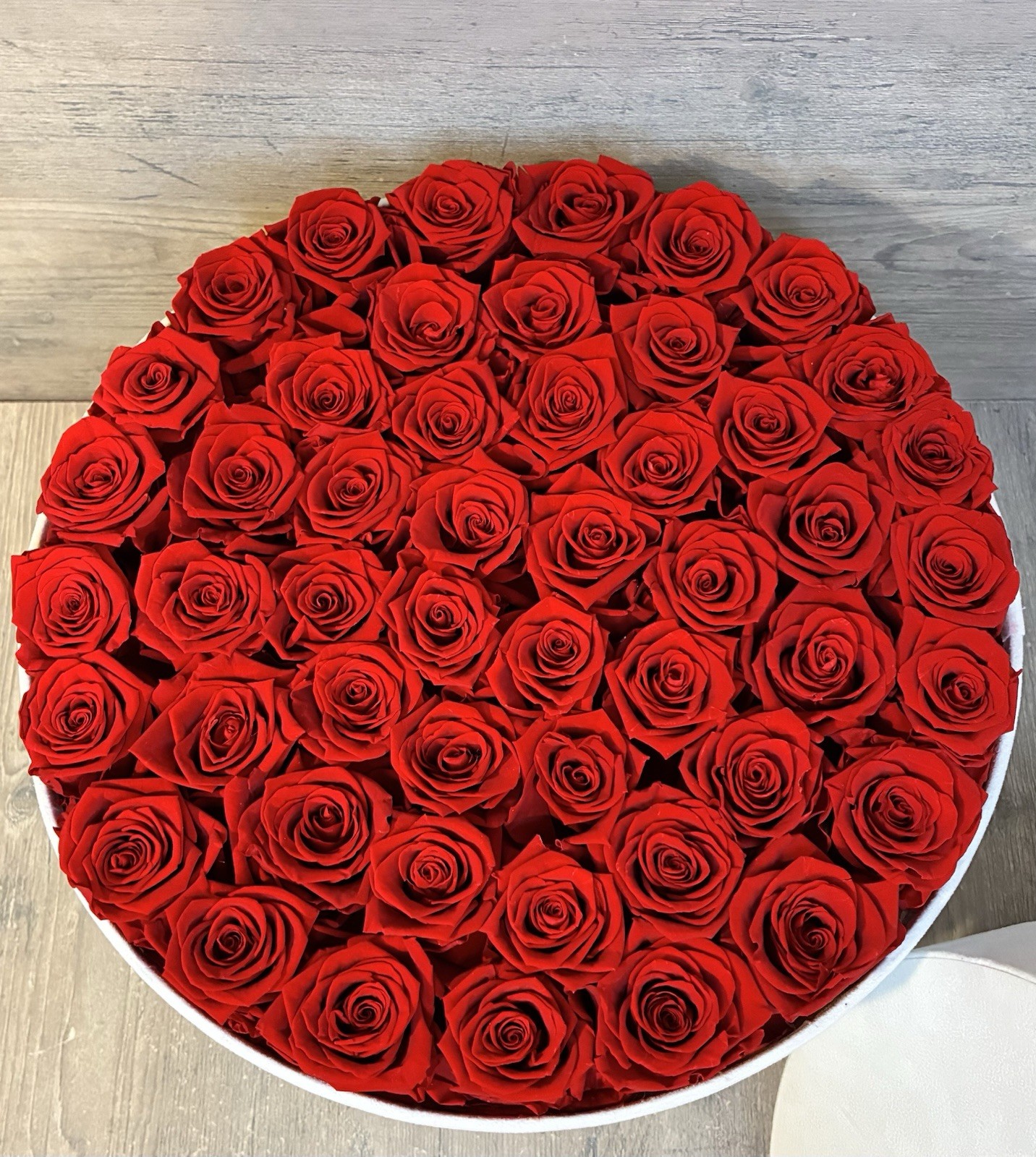 Perfectione Roses 50 Roses in a Box, Mothers Day Bday Roses Last 2-3 Years!