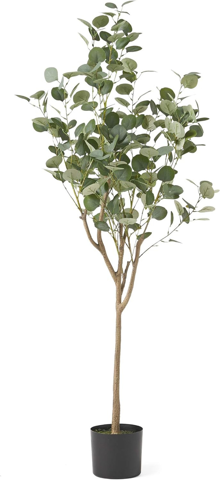 Artificial Plants, 5 Ft X 2 Ft, Green + Black
