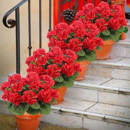 3 Pcs Artificial Geraniums Flowers Silk Geraniums for Outdoors UV Resistant Red