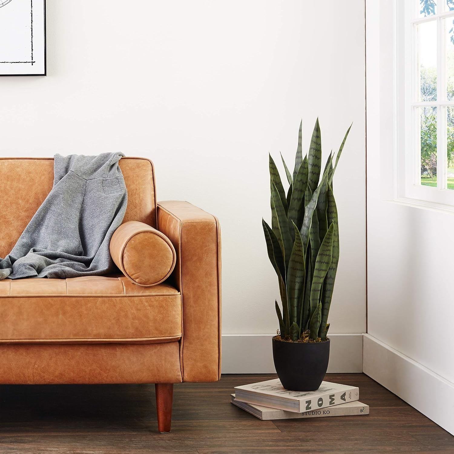 Versatile 35 Inch Sansevieria Plant for Home or Office – Black Planter Included