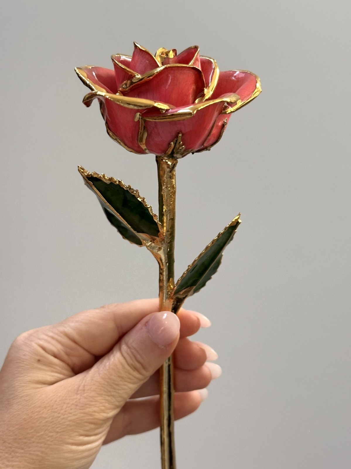 Steven Singer Jewelers – Real Rose – Preserved in 24k Gold – Pink