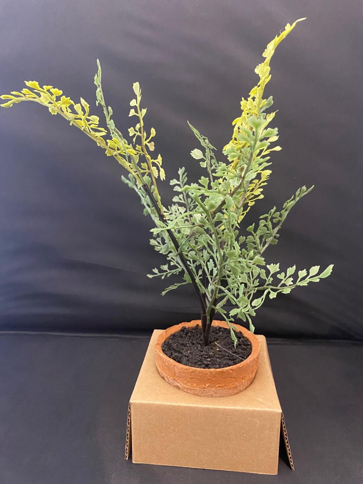 NEW Pottery Barn Faux Southern Mini Maiden Hair Fern in Terra Cotta Potted NWT