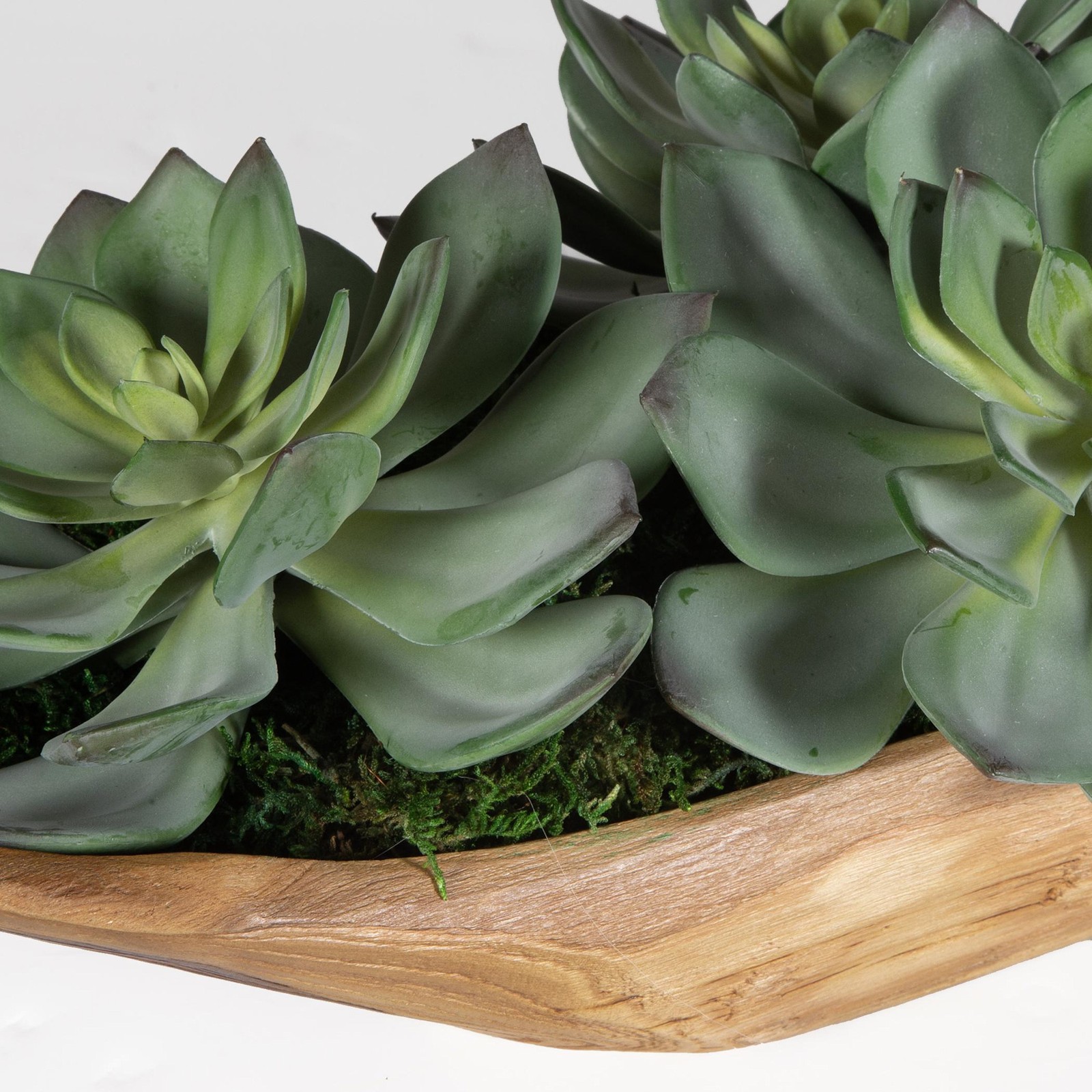 Uttermost 60205 Yuma 8″ Tall Wood Faux Flora Planter – Natural