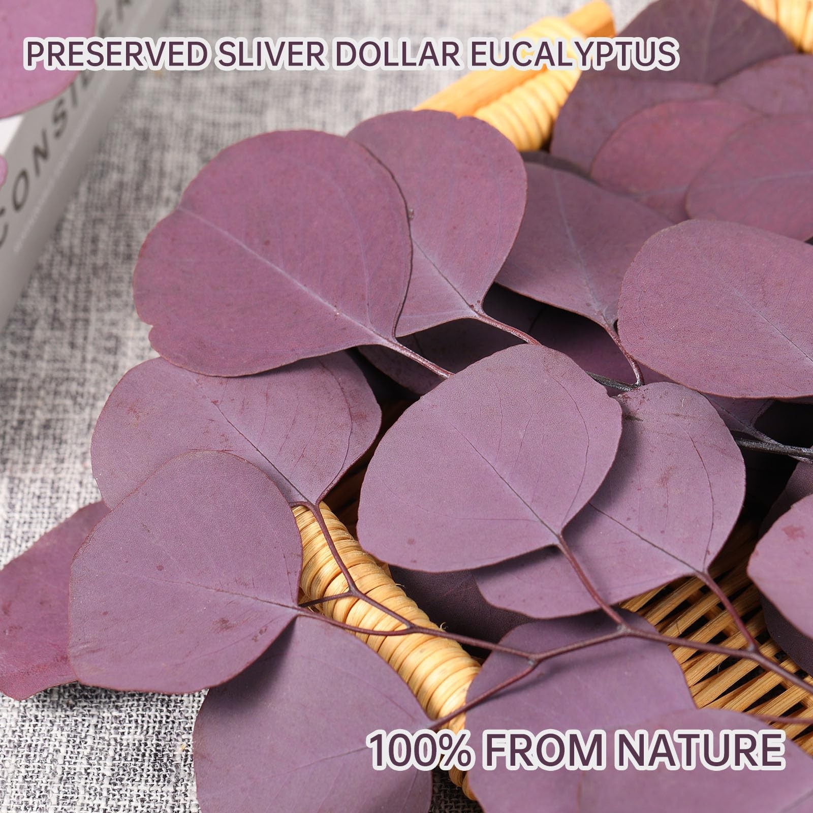 Preserved Dried Eucalyptus Stems, Purple Eucalyptus Leaves, 4-10 Pcs Silver D…