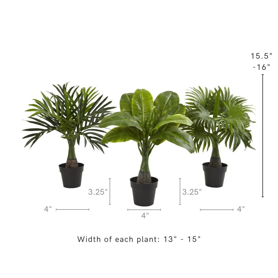 Areca Fountain & Banana Palm (Set of 3)