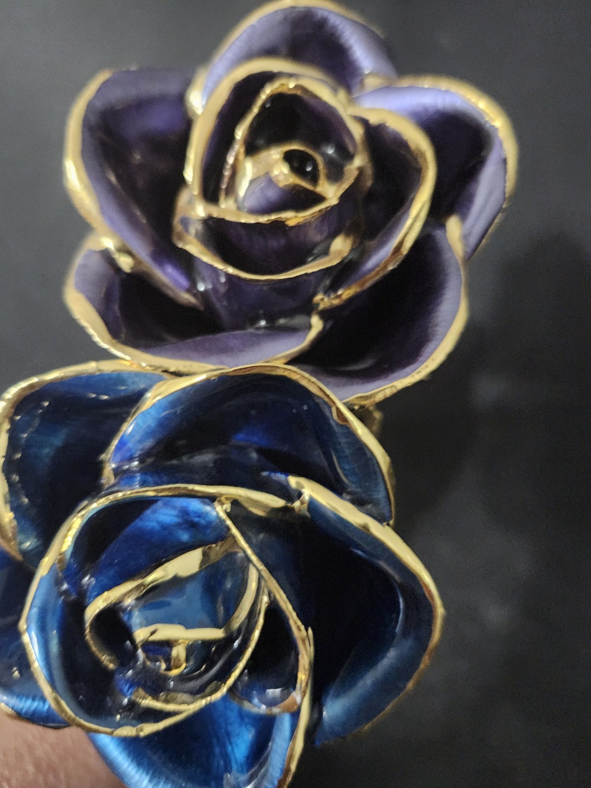 Lacquer Dipped 24k Gold Trimmed Real Preserved Blue And Purple Rose 11″ Set Of 2