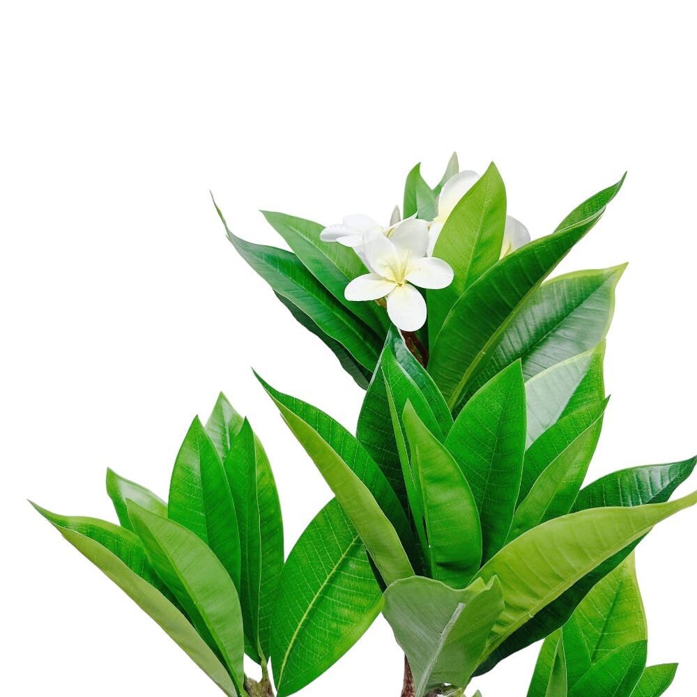 2.25 Ft Cream Fuchsia Artificial Plumeria Flower Tree for Indoor Outdoor Garden