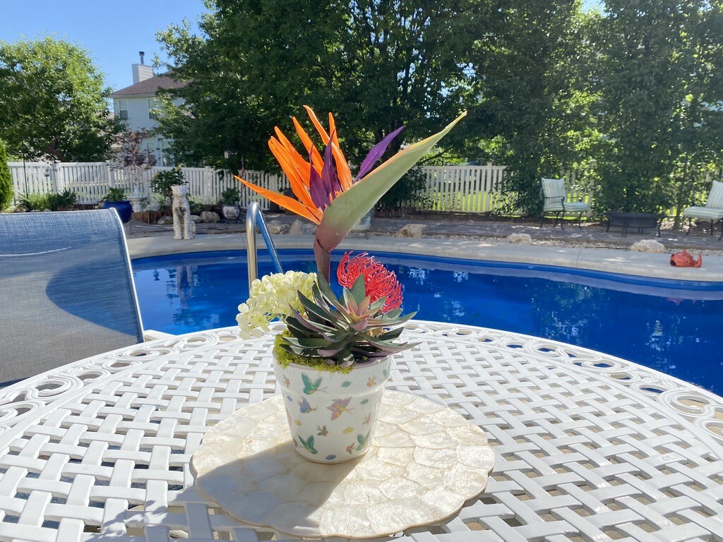 Decorative Planter with Dragon Flowers and Tropical Flowers in Butterfly Pot