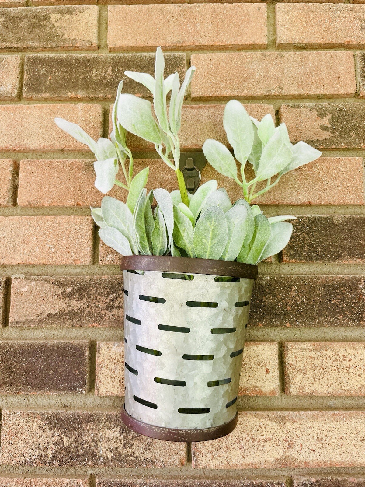 Lamb’s Ear Pick, 13” Bundle Of 3