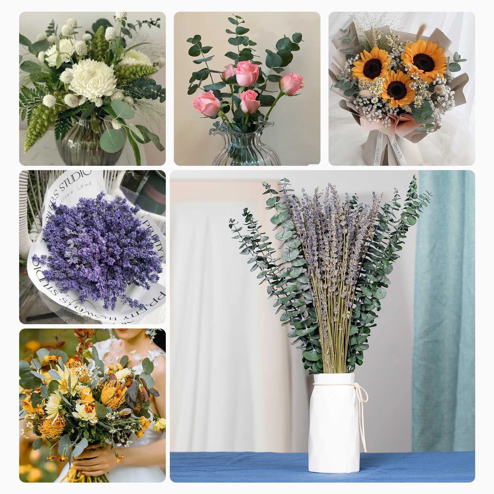 Mixed Dried Eucalyptus Stems with Lavender Flowers Bundle for Shower, 17” Na…