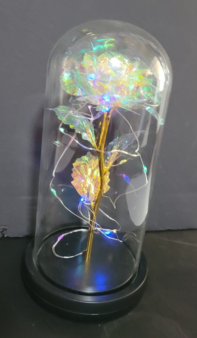 Clear Eternal Rose With LED Lights In 9″ Glass Dome Mothers Valentines Day Gift
