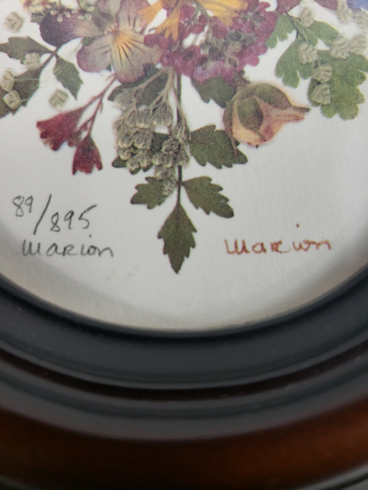 Pressed Dried Flower Wall Art signed by Marion Framed 89/895
