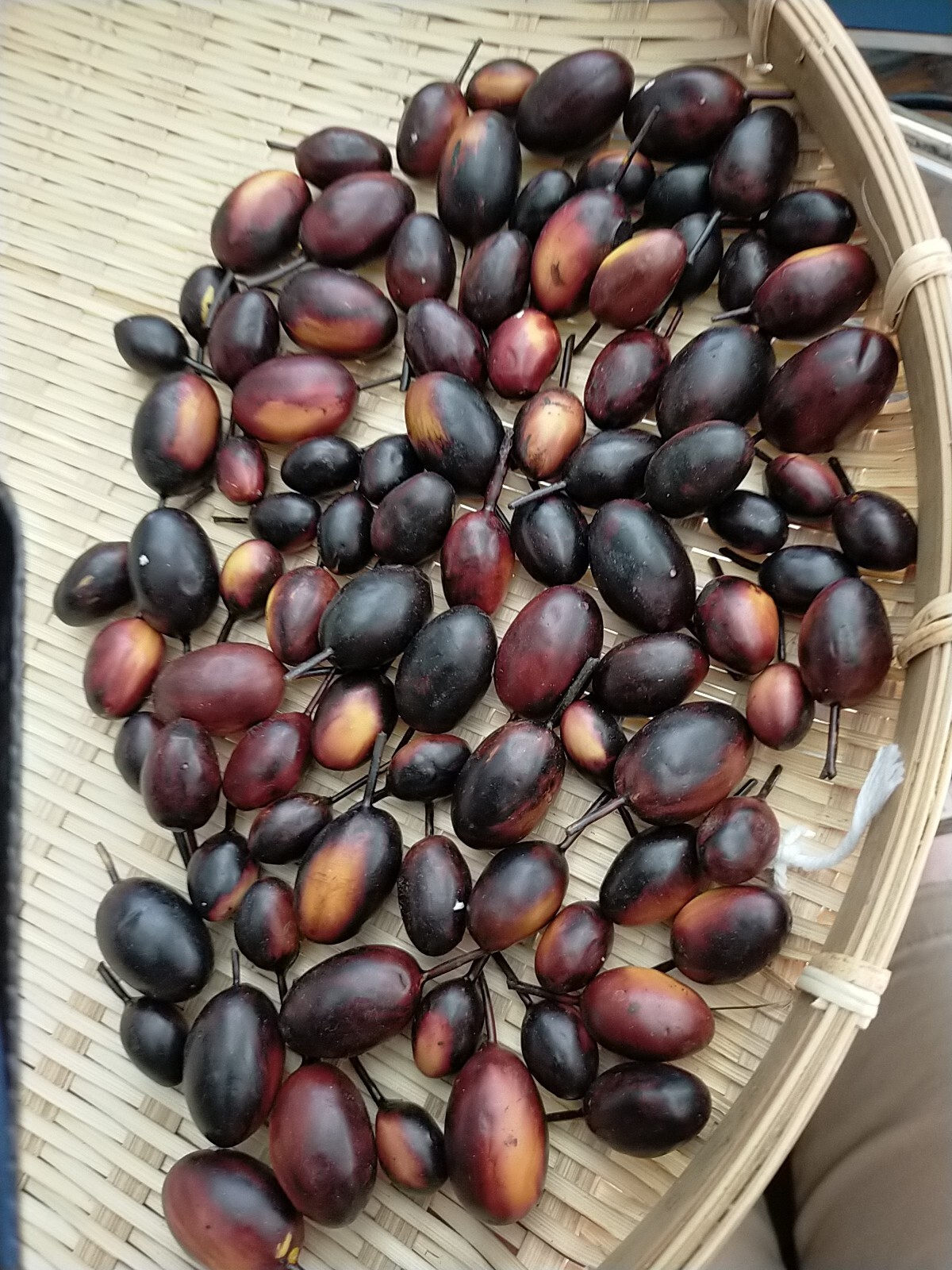 Hyper Realistic Faux Olive Fruit Ex Staging Display Stock 100g VGC