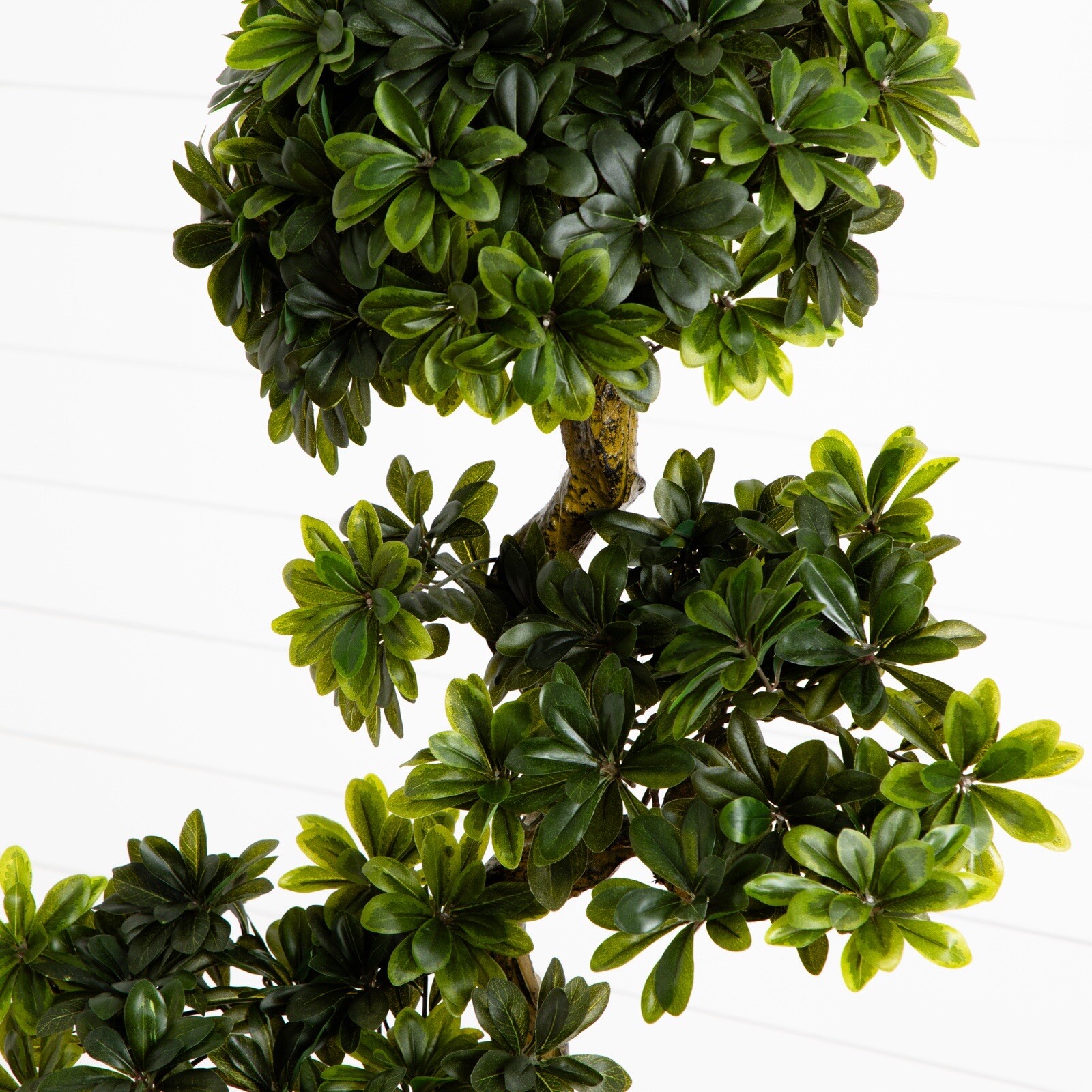 6′ Artificial Pittosporum Tree in Decor Urn UV (Indoor/Outdoor). Retail $499