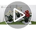 Artificial Plants & Flowers with Vase Red Roses Artificial Flowers Small Potted