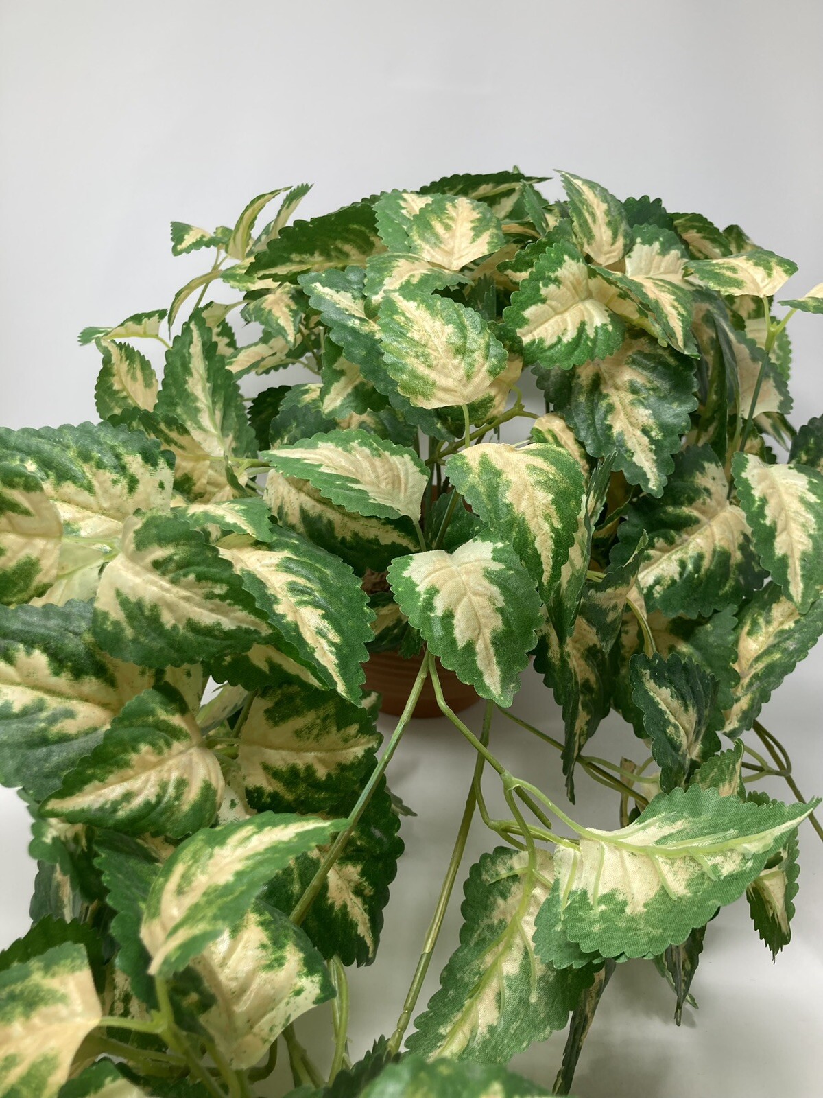 Hanging Silk Plant Natural Looking Coleus (?) Moss Terracotta Pot Tropical 36″