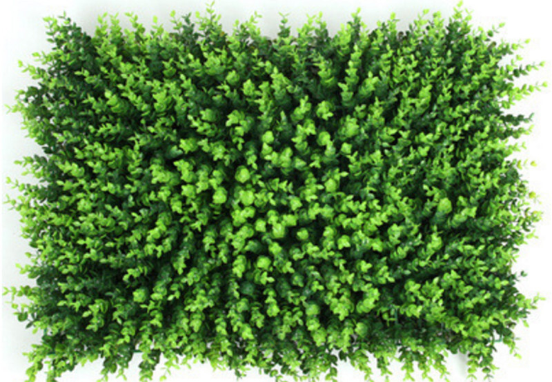 Plant Background Wall Eucalyptus Encryption Globulus Grass 23.6*15.7*3.15in