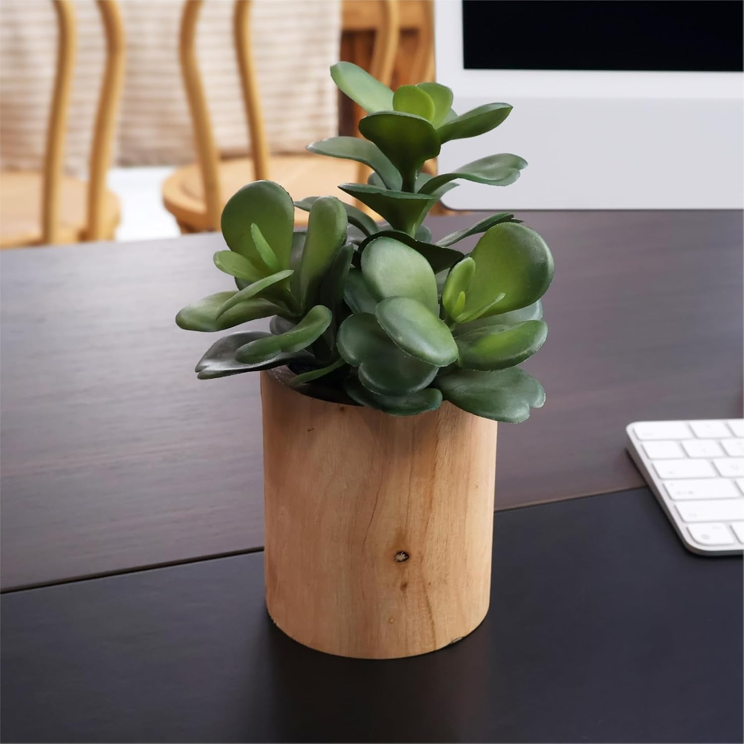 Set of 3 Artificial Succulents in Wooden Pots for Home & Office Decor