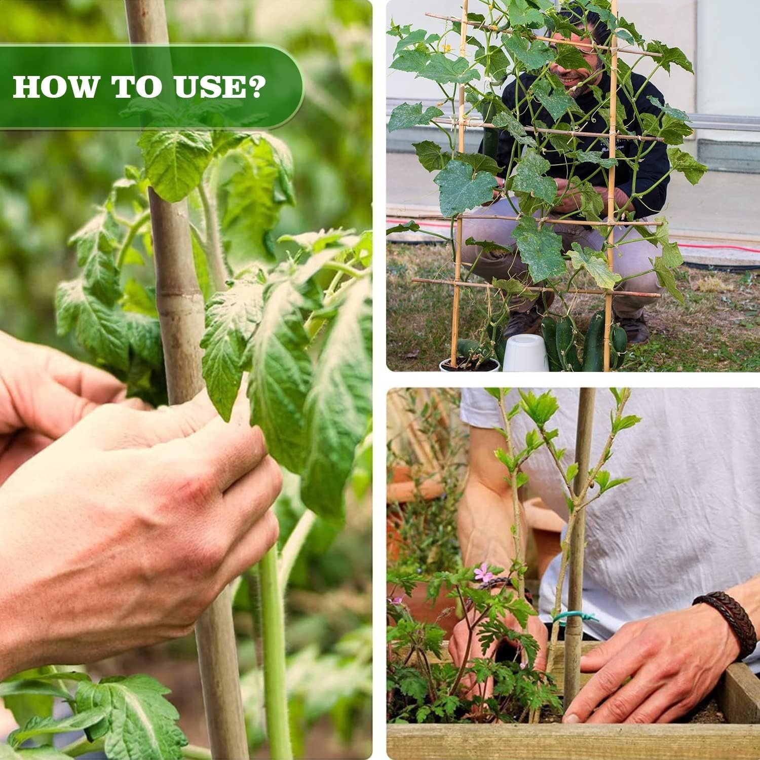 25Pcs 1/2″ D Thicker Heavy Duty Bamboo Stakes 4Ft Plant Stakes Natural Garden St