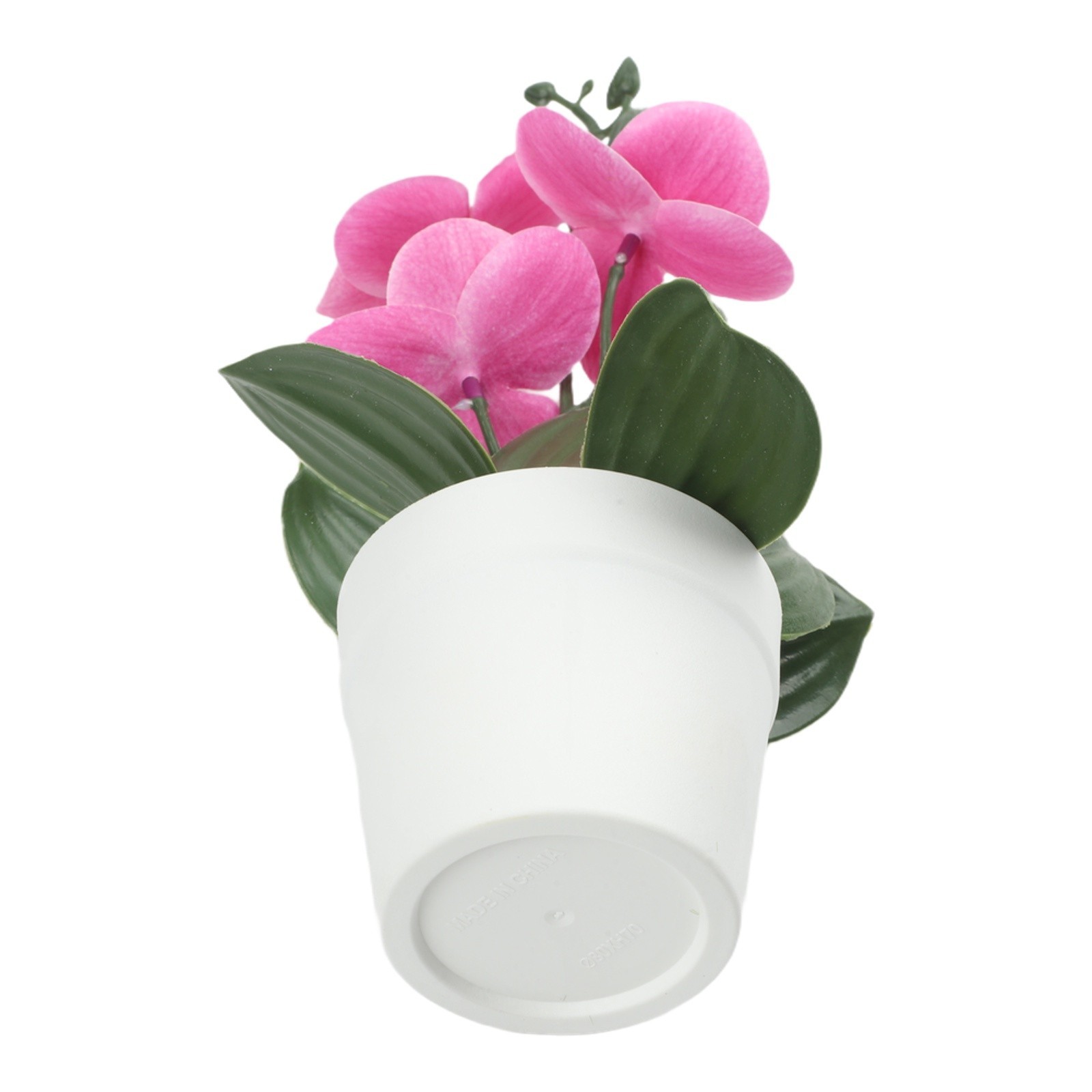 Phalaenopsis Bonsai Decorative Faux Plant Table Decoration Long-lasting Beauty