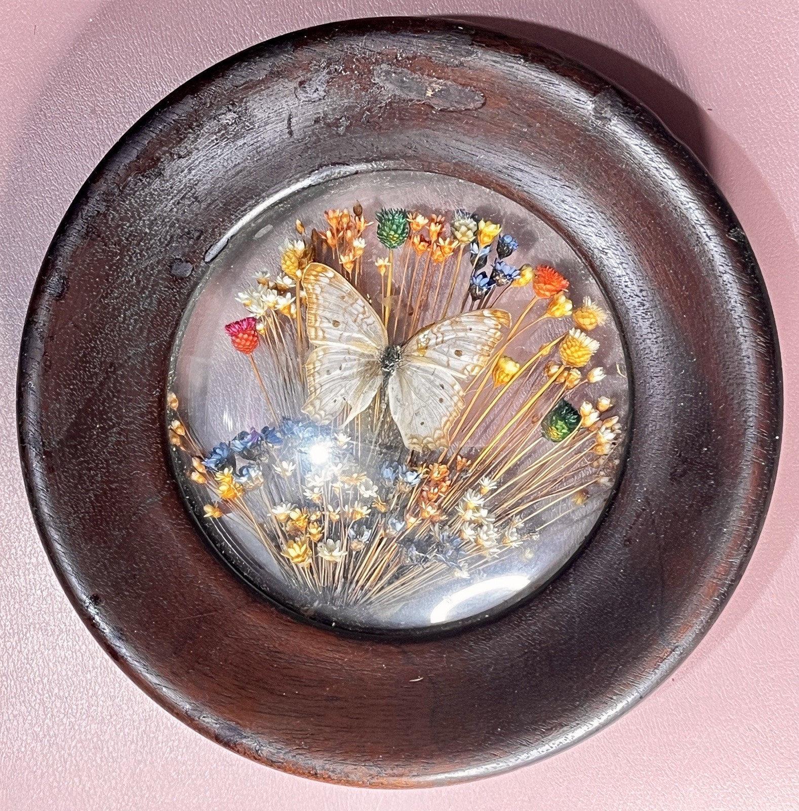 VTG Butterfly Dried Flower Art Brazilia Collection Dunston Made in Brazil 70’s
