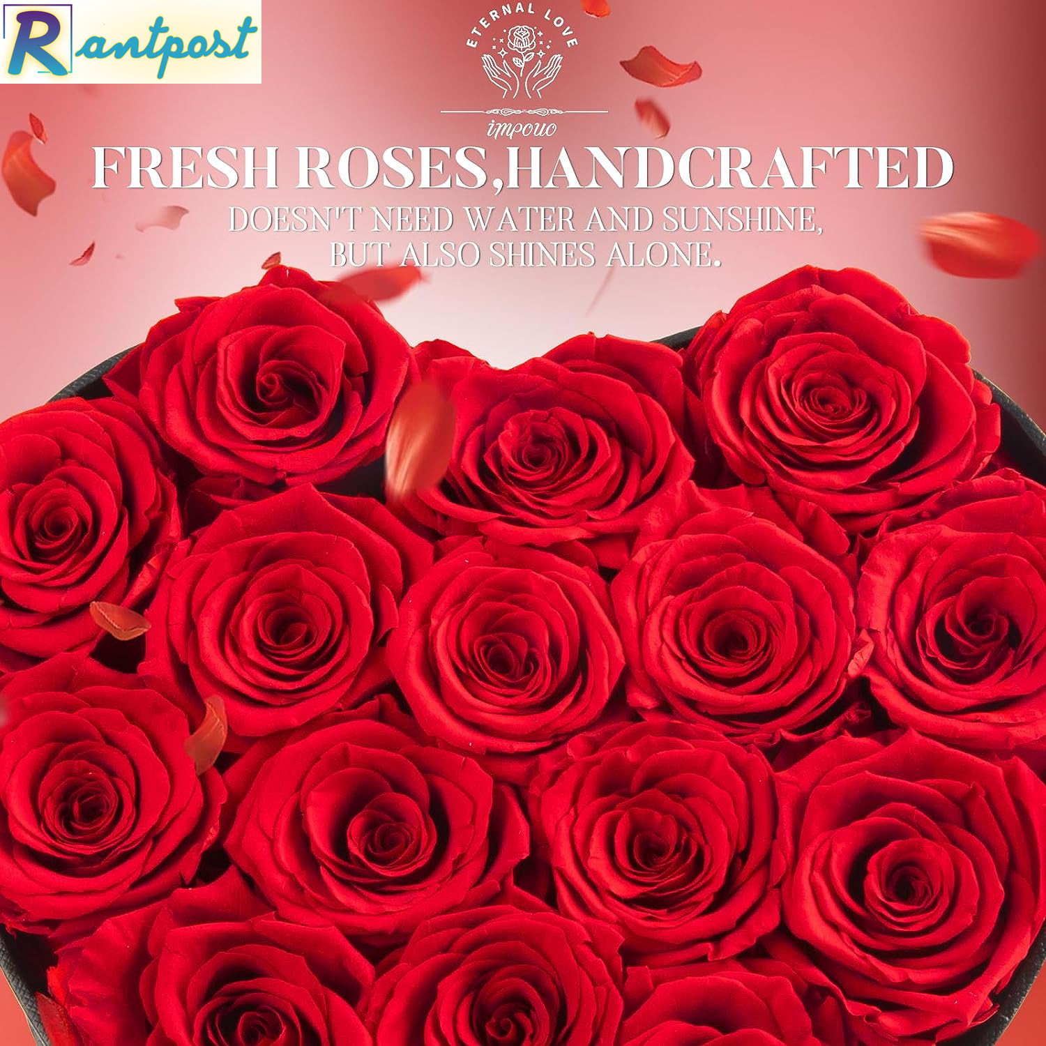 Impouo 16 Preserved Flower Delivery Prime, Fresh Forever Roses in a Box, Birthda