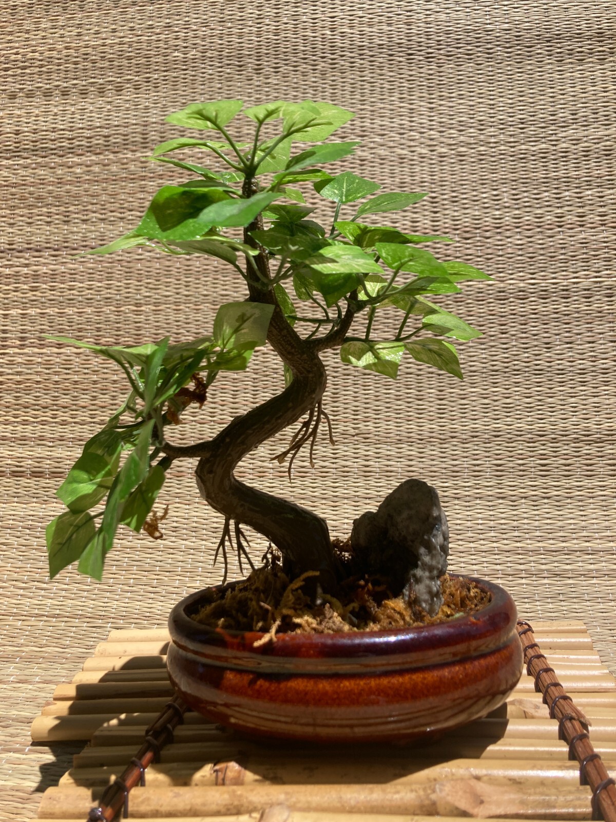 Artificial Bonsai Tree, Faux Potted Plant Display Ceramic Pot