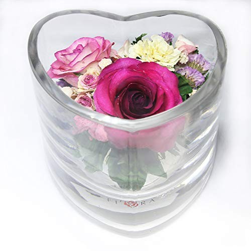 | Long Lasting Roses in Sealed Glass Vase | Preserved Fresh Cut Rose | Unique