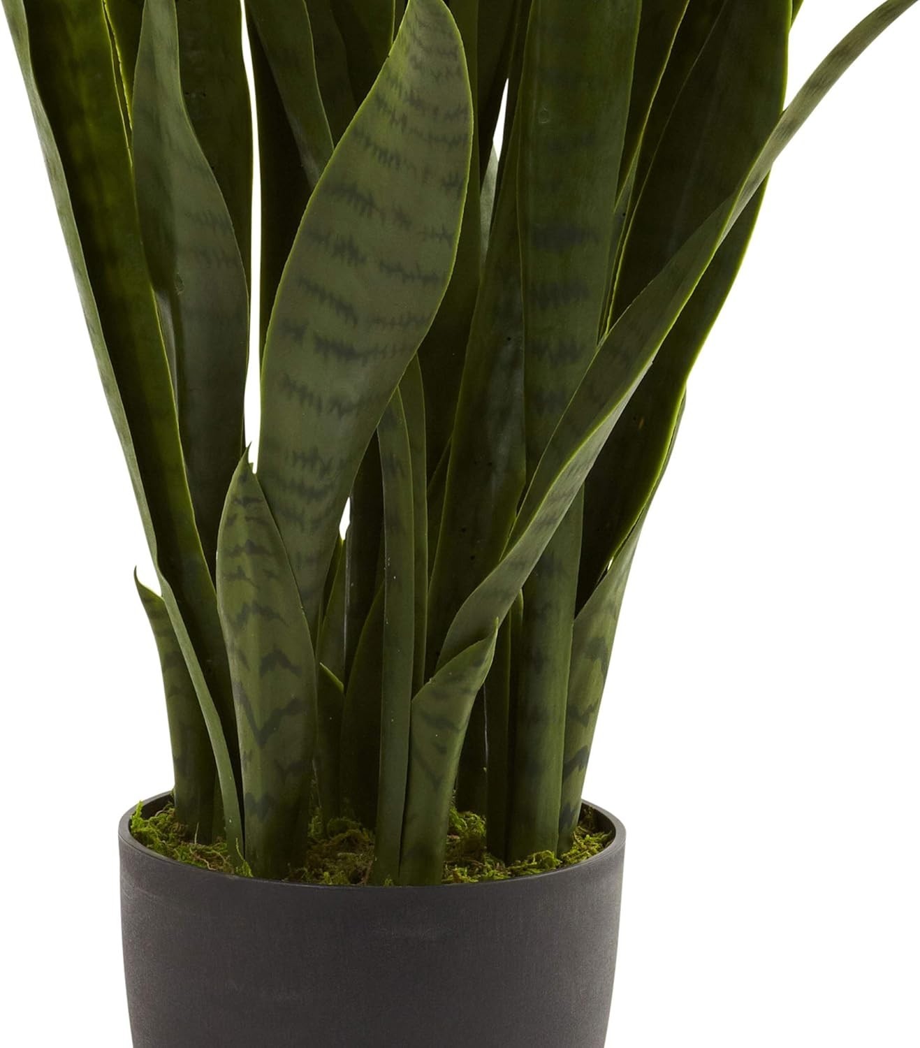 Versatile 35 Inch Sansevieria Plant for Home or Office – Black Planter Included