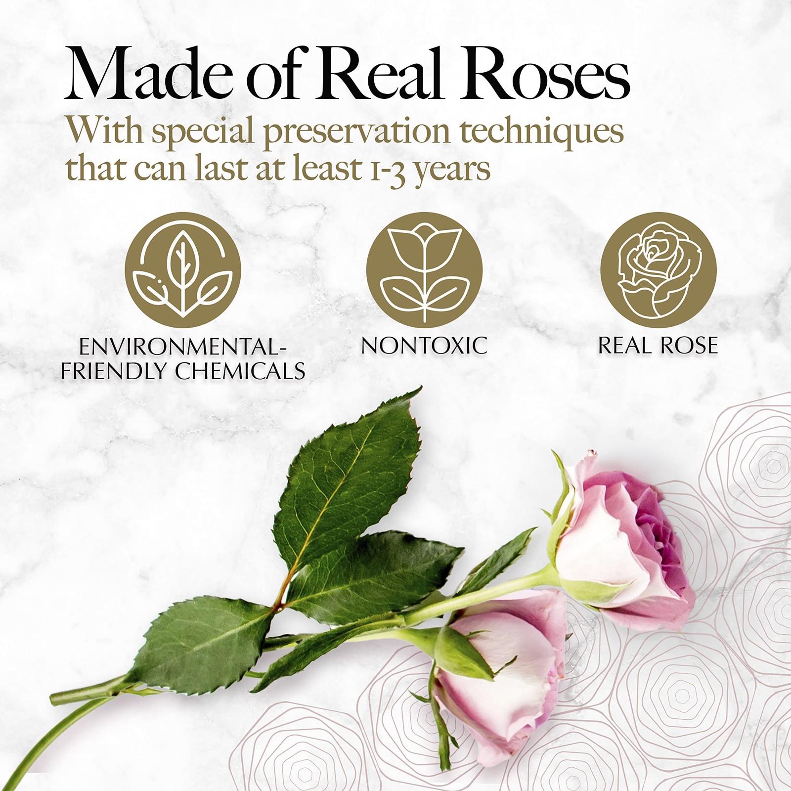 GLAMOUR BOUTIQUE 16 Flower Forever Heart Shape Box – Preserved Roses Gift for