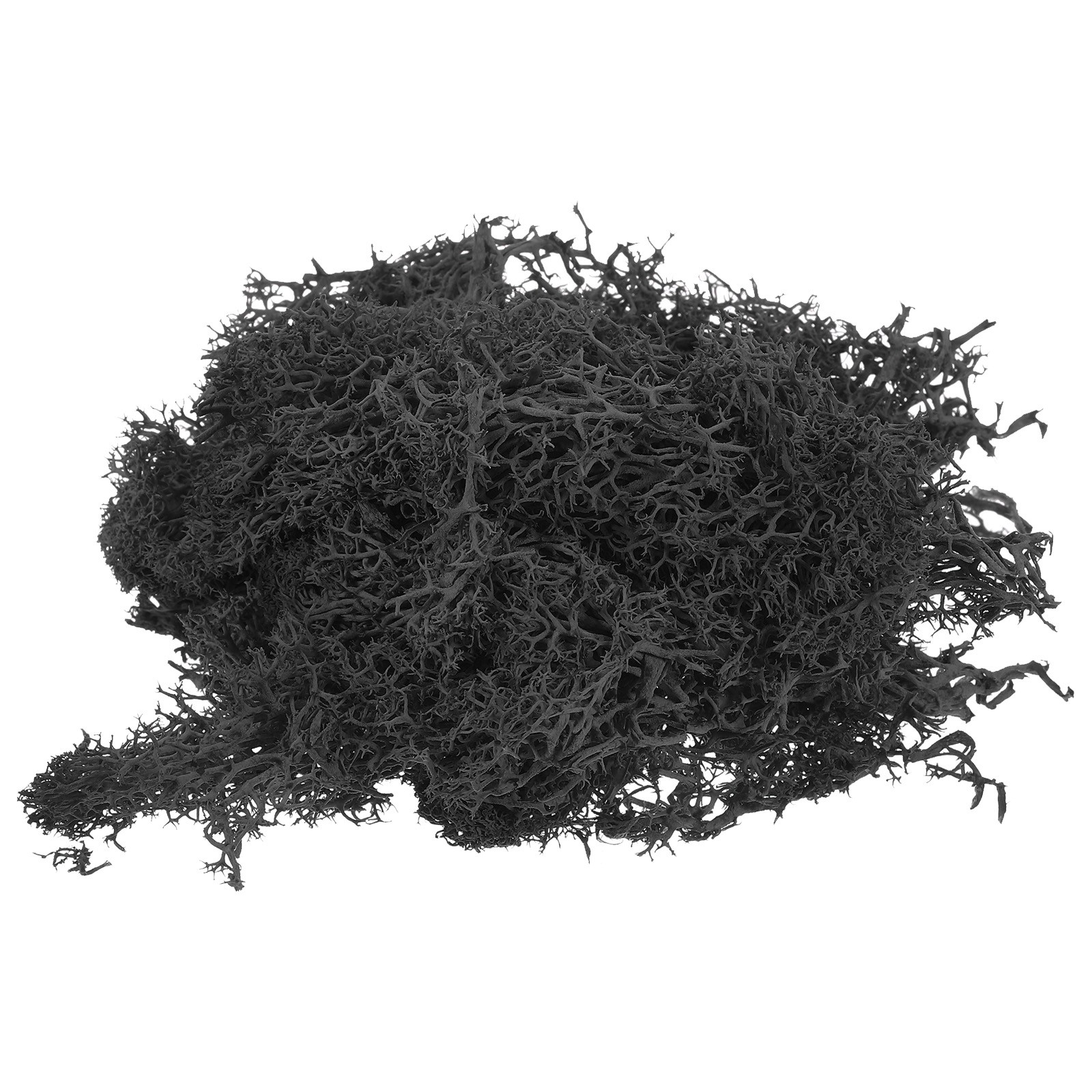 3.5 OZ Fake Moss Preserved Reindeer Moss Artificial Moss Lichen Black
