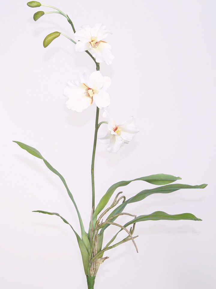 ARTIFICIAL miltoniopsis orchid plant CREAM