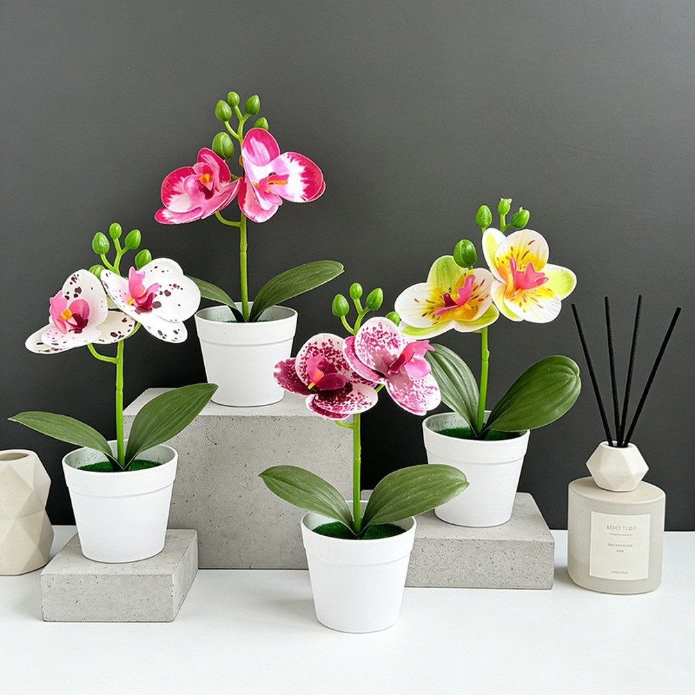 Miniature Phalaenopsis Decor Realistic Butterfly Blooms Handcrafted Detail
