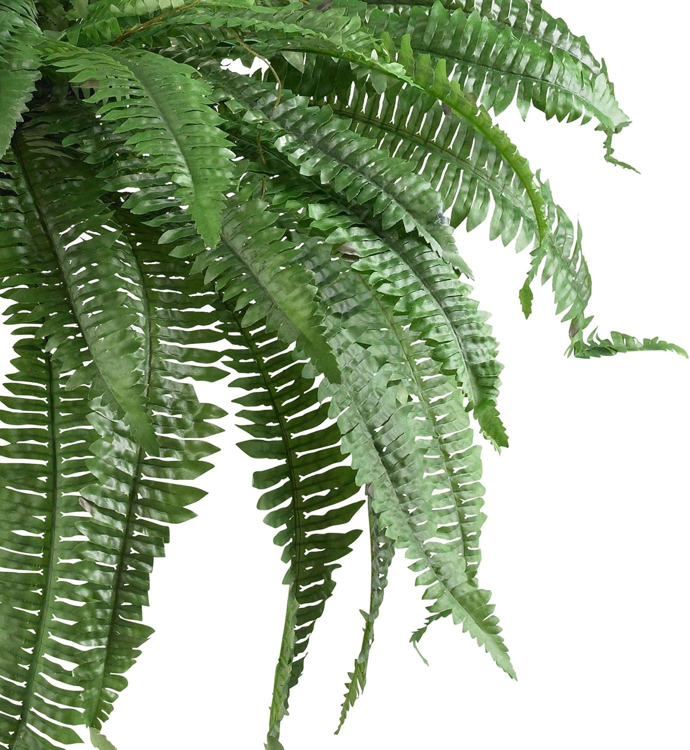 Set of 2 48″ Artificial Boston Ferns & 4Ft Dracaena Plant for Home Décor