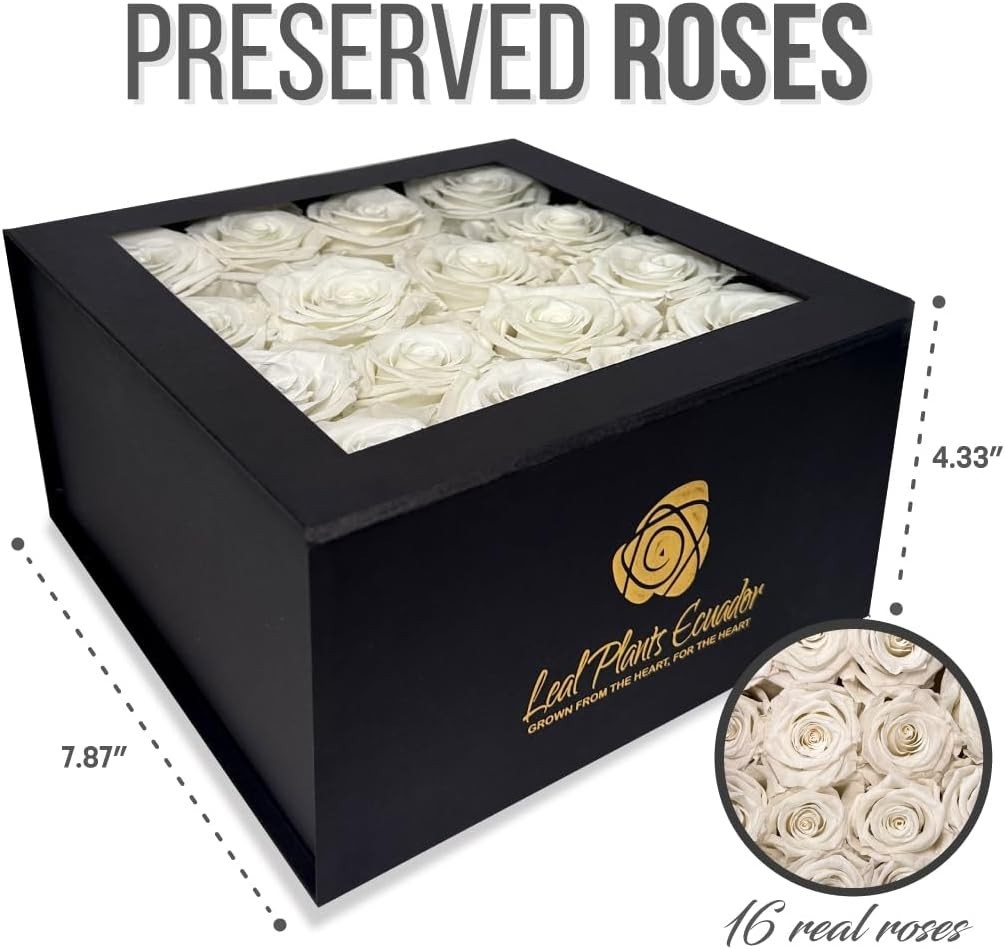 Premium Real Preserved Roses 16 PCS 100% Real White Roses Lasting Up to 3 Years