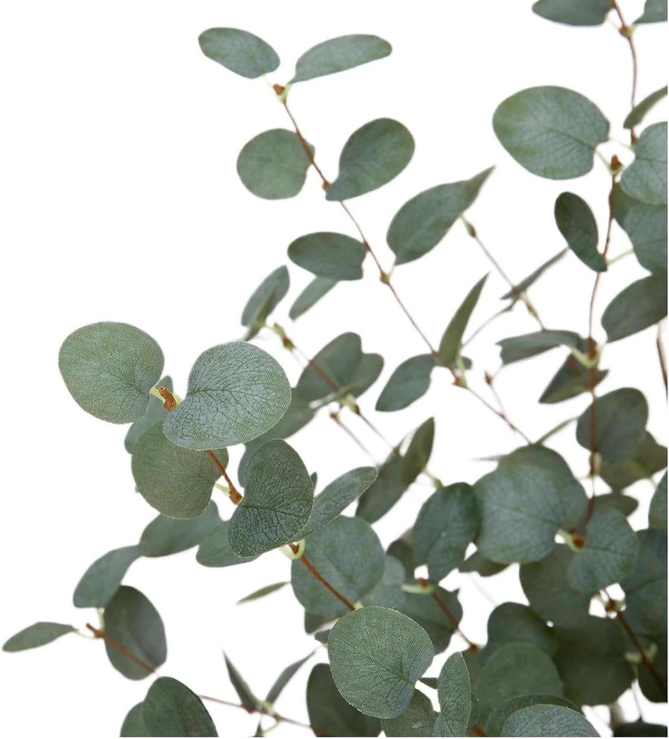 Durable 12-Pack Dark Green Eucalyptus Stems – Add a Touch of Nature Indoors