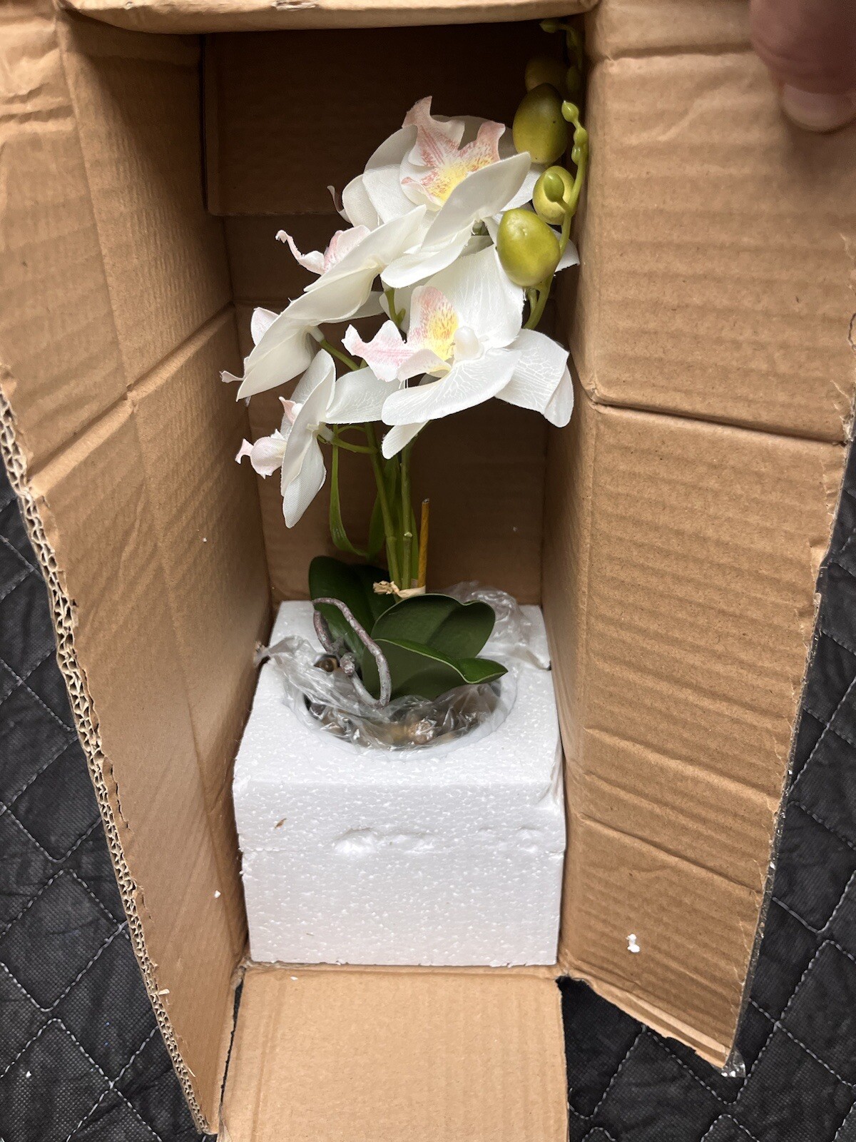 Jusdreen Artificial Flower Bonsai with Glass Vase, M2