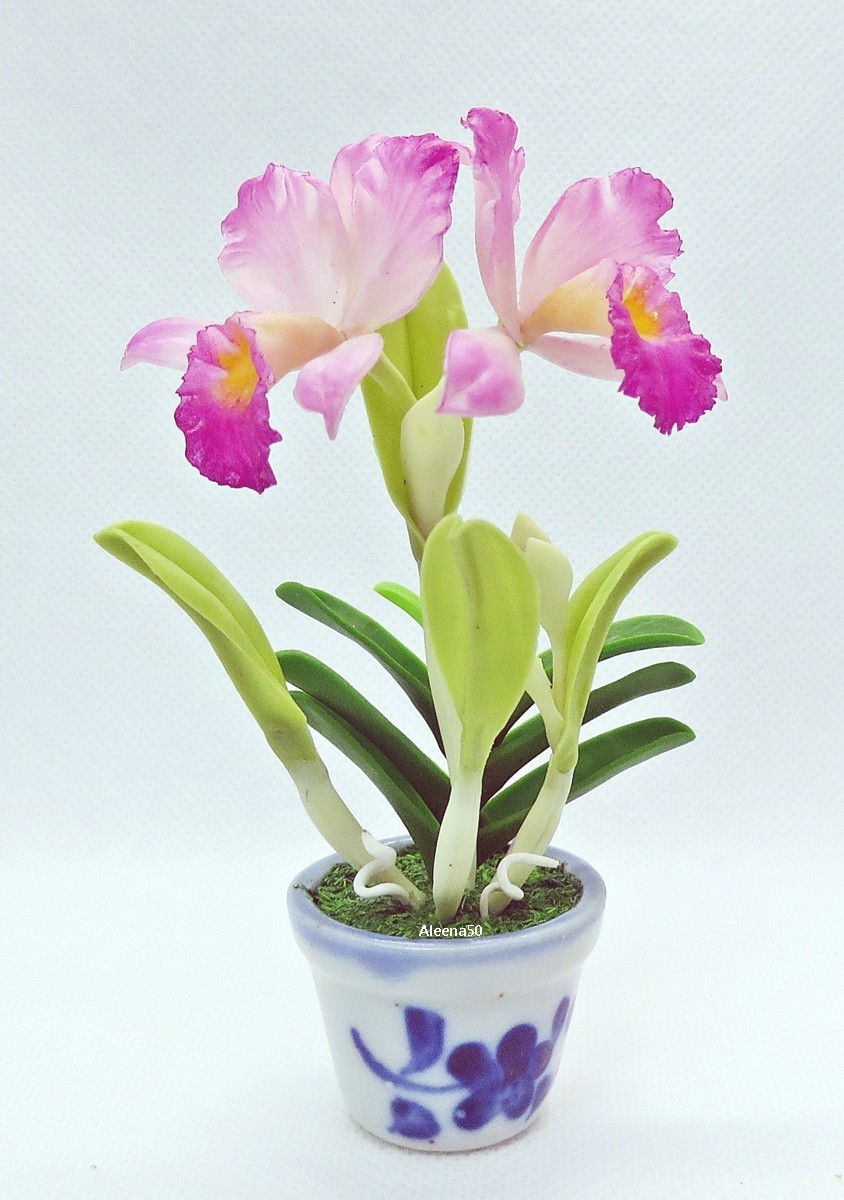 US Stock 4″H Handmade Miniature Air-Dry-Clay-Crafted Catalunya Orchid Arranged.